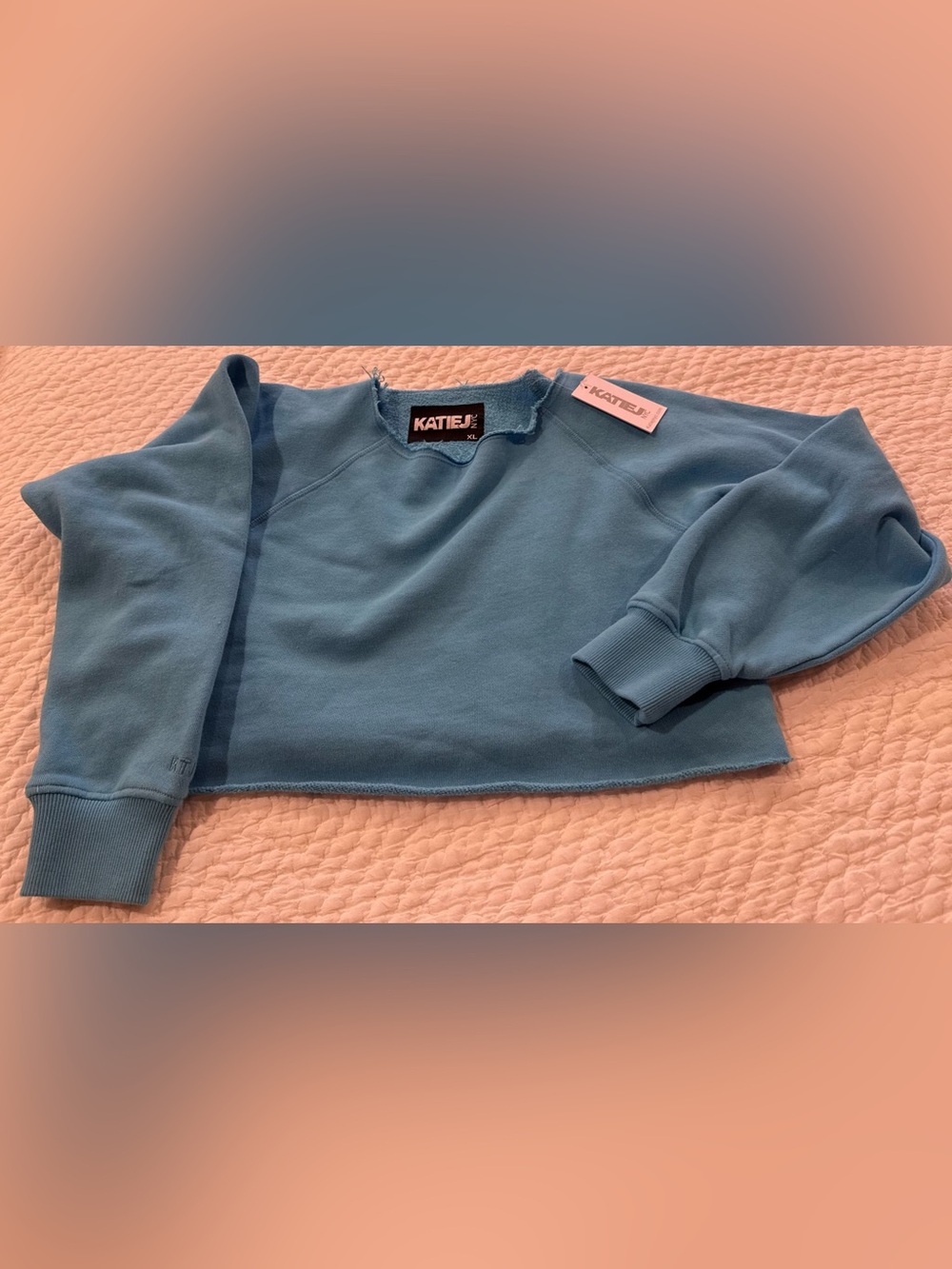 Katie J NYC Light Blue Cropped Distressed Sweatshirt